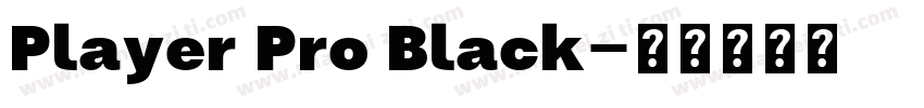 Player Pro Black字体转换
